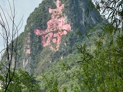 -长寿村