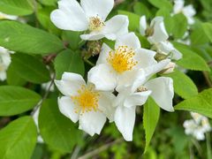 景点-长兴太湖图影湿地文化园