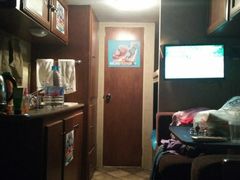 -崇明东平国家森林公园烧烤房车露营地