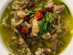 酸汤肥牛-老鄞江清水龙虾•赵赵家(江北店)