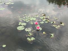 -白马涧龙池景区