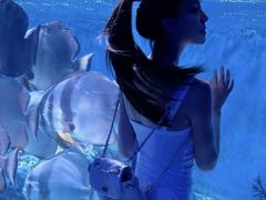 -海合安成都极地海洋公园