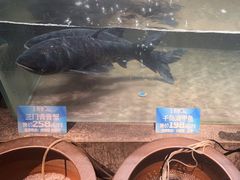 -上名堂·鱼头好吃(体育场路店)