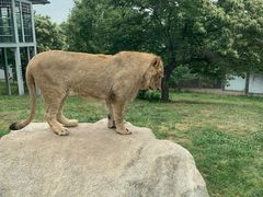 -西安秦岭野生动物园