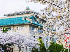 -武汉大学-樱园