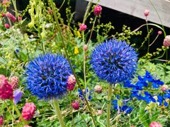 -白草畔自然风景区