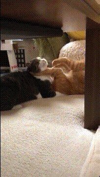 -马路边边麻辣烫联盟路店