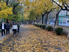 -山东师范大学(千佛山校区)