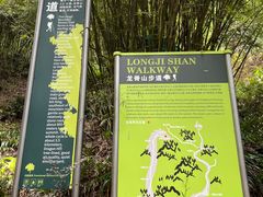 -南山植物园