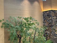-季季山·云南野生菌火锅(上海首店)