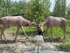 -溱湖国家湿地公园