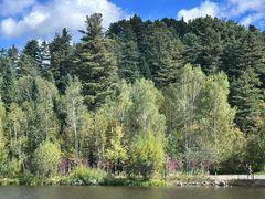 -五营红松林海景区