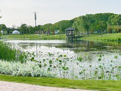-上海怡沁园度假酒店