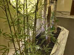 -小厨娘淮扬菜(六合欢乐港店)