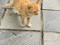 -终南山南五台景区