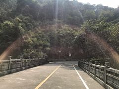 -南海湾森林生态园