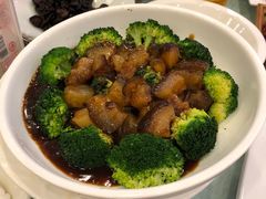 翡翠鲍汁扒海参-江南村酒家
