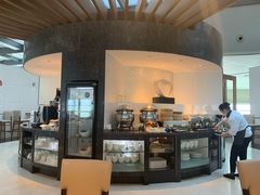 -虹桥机场国航贵宾室v8