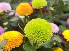 -共青国家森林公园-售票处