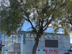 -蓬莱欧乐堡海洋极地世界