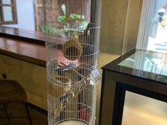 -ChitChat奇洽·Bistro(黎黄陂路店)