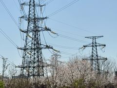 -外高桥保税区南(地铁站)