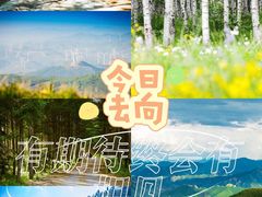-百里天路