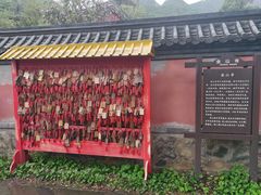 -阳台山自然风景区