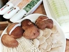 -颐辰舍岁岁羊(文昌万达景园店)