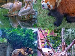 -灵玲国际马戏城