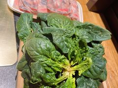 -巴奴毛肚火锅(广益哥伦布店)