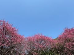 -溪口-滕头旅游景区