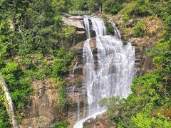 -海南热带雨林国家公园吊罗山景区