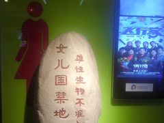 -保利国际影城(保利文化广场店)