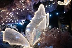 -美薇亭婚礼顾问