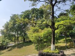-东莞植物园