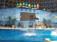 景点-泉城欧乐堡海洋极地世界