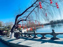 -百脉泉景区