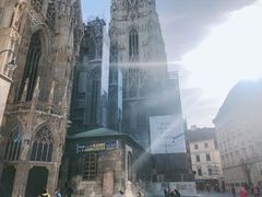 -斯蒂芬主教座堂(Stephansdom)