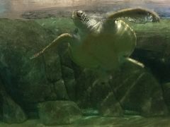 -福州罗源湾海洋世界旅游区