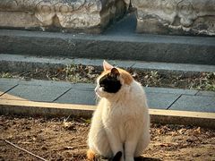 -北京石刻艺术博物馆(五塔寺)