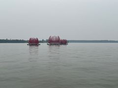 -溱湖国家湿地公园