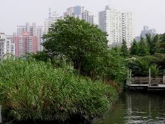 -苏州河梦清园环保主题公园