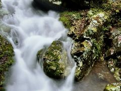 -永州阳明山国家森林公园