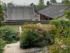 景点-大阳山国家森林公园