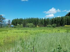 -塞罕坝国家级自然保护区