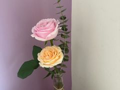 -音乐房子(鎏嘉码头店)