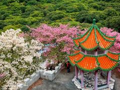 -东莞观音山旅游风景区