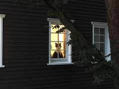 -三鹰之森吉卜力美术馆