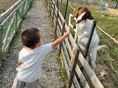 -菊园百果园